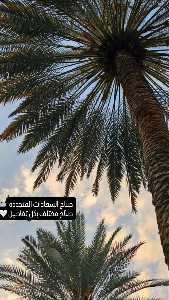 TheMoon__19's tweet photo. " بسمِ الله ربِّ البدايات نبدأ  "
بإسمك اللَّهم أخوض دروبًا جديدة 
إجعلها يا الله بداية خير آمله ألاّ أُضل ولا أتعثر 💛

#صباح_الخيرᅠ
#عودا_حميدا https://t.co/FPF5BpG163