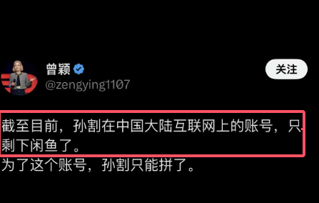D师 的图片 1