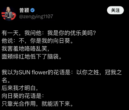 D师 的图片 3