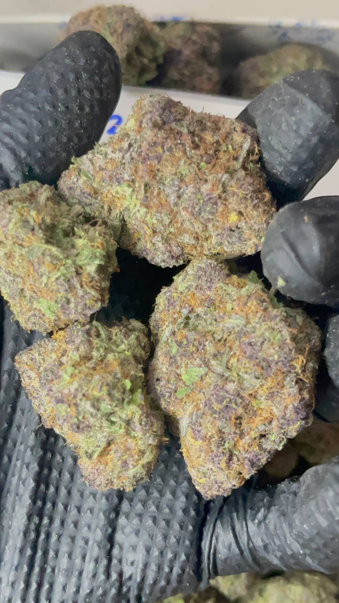 MatNgoc420's tweet photo. Purple Kush https://t.co/mOFmKvFHie