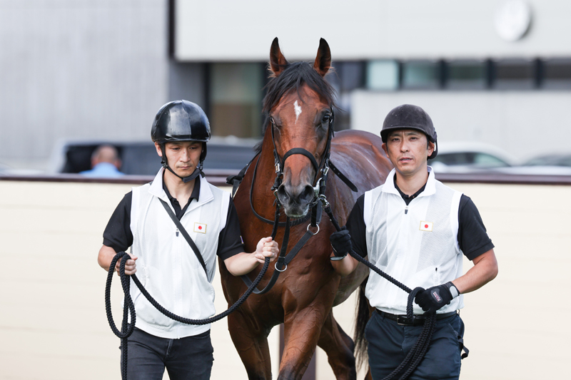 gallop_keiba's tweet photo. 札幌5R、芝1800mの新馬戦は1番人気 #ヴァンクライ が勝利！ 
父ハービンジャー、母はオープン時代の紫苑Sなど3勝を挙げたレーヴデトワール。 https://t.co/xv8nnrckwX