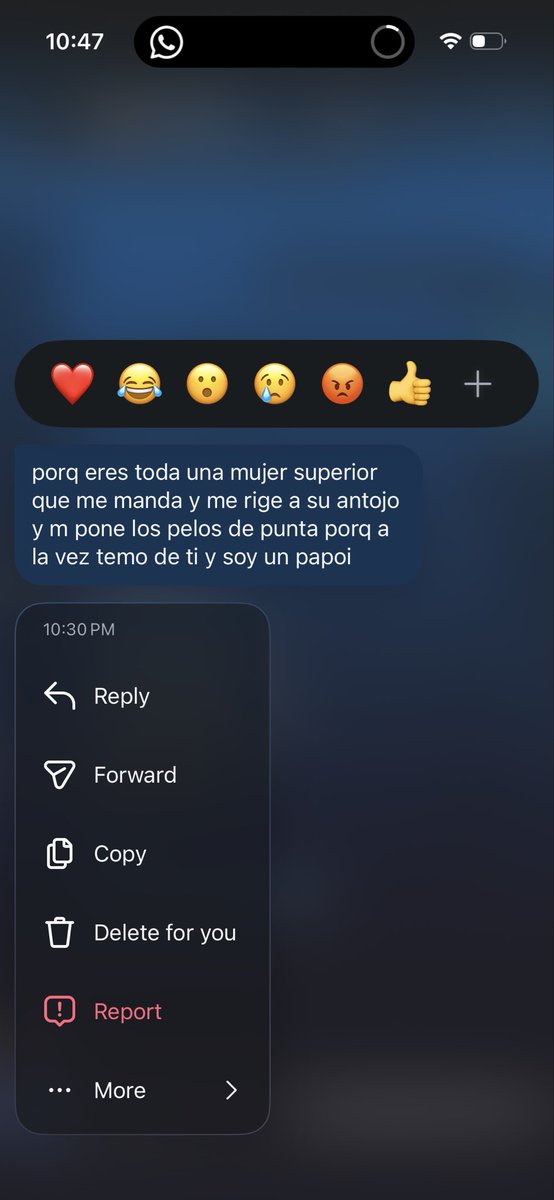 Cami_Garcia30's tweet photo. mis estándares en cuestión: https://t.co/b8eaVtn1ry