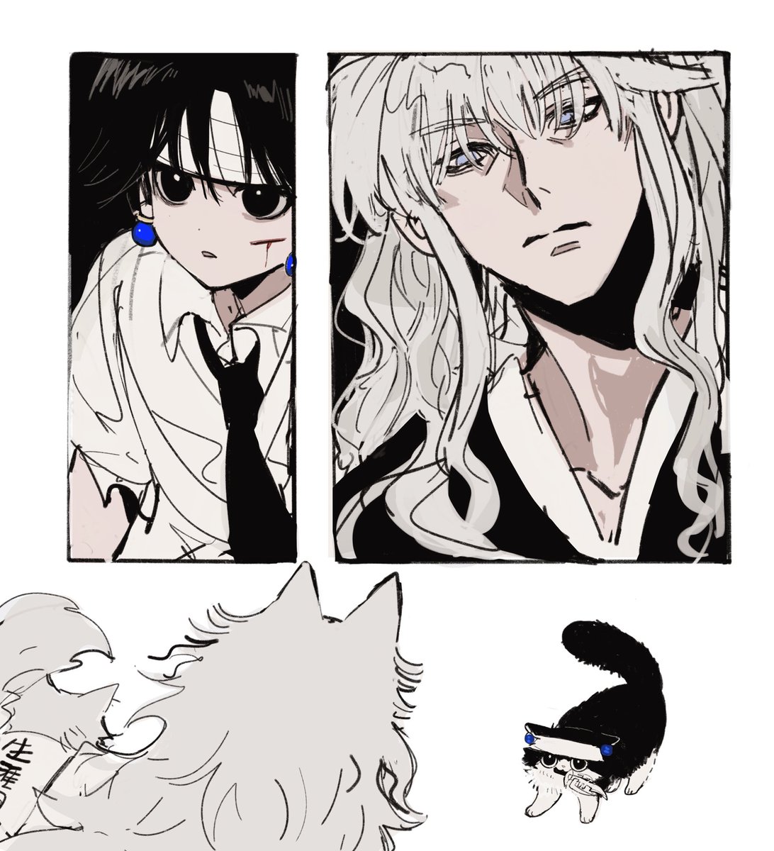 mangmangfangmu's tweet photo. 猫再掲 https://t.co/dyJziRD3hM