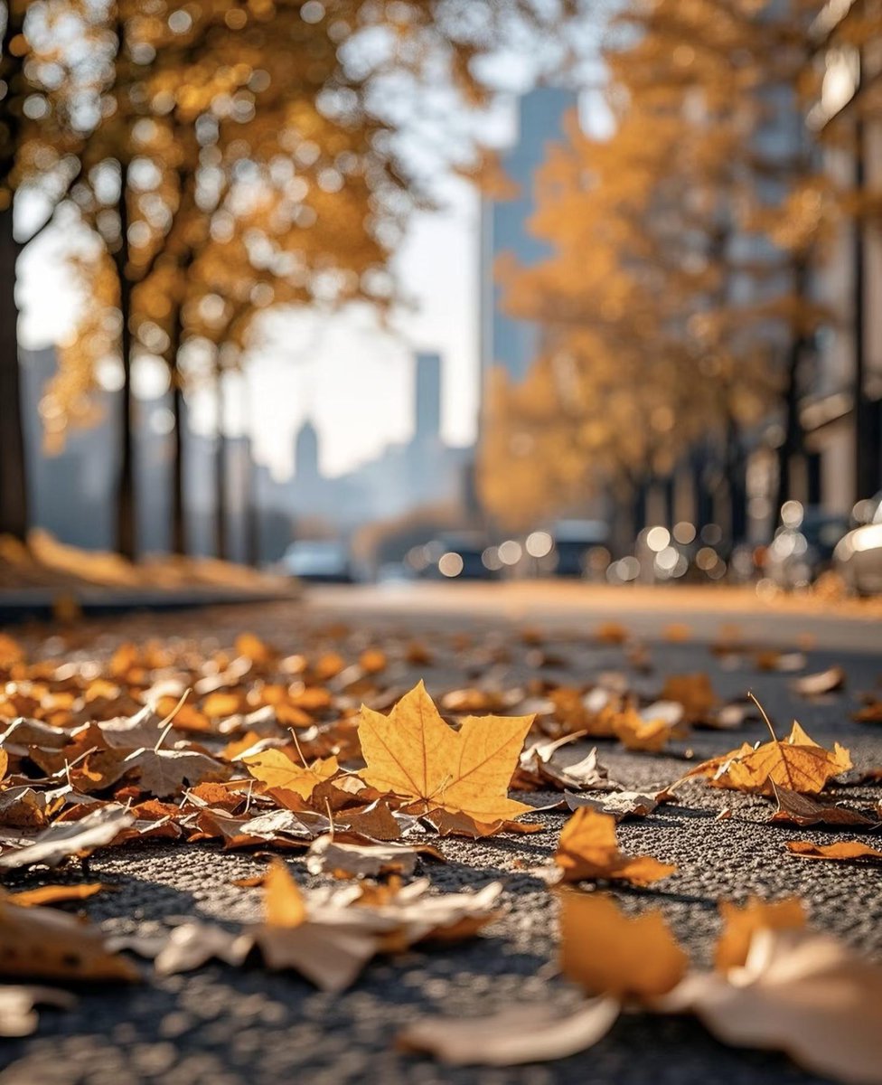 lilian_itzellab's tweet photo. Chilly autumn breeze u0026 golden falling leaves  Perfect hoodie weather—can’t beat this crisp, cozy vibe! https://t.co/9M9YJt8Xyq