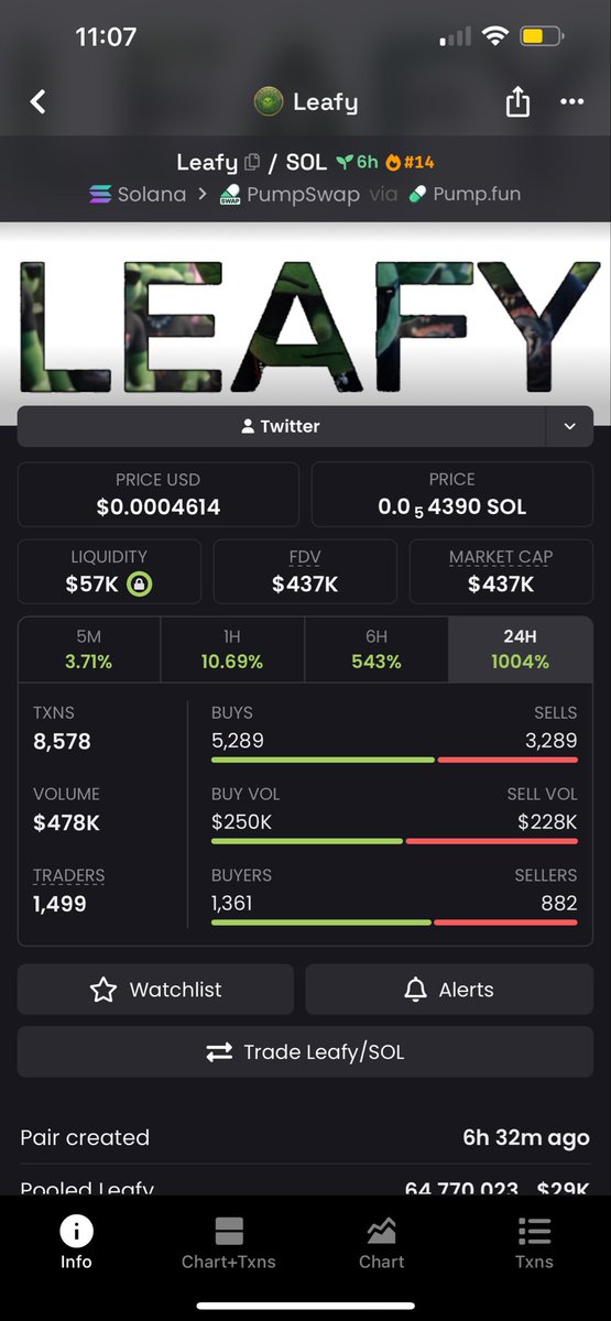 Its__Leafy's tweet photo. Guess who just got a banner??👀👀🌳🌳

Time to SEND IT !!! $Leafy https://t.co/8jxOKs4ZHR