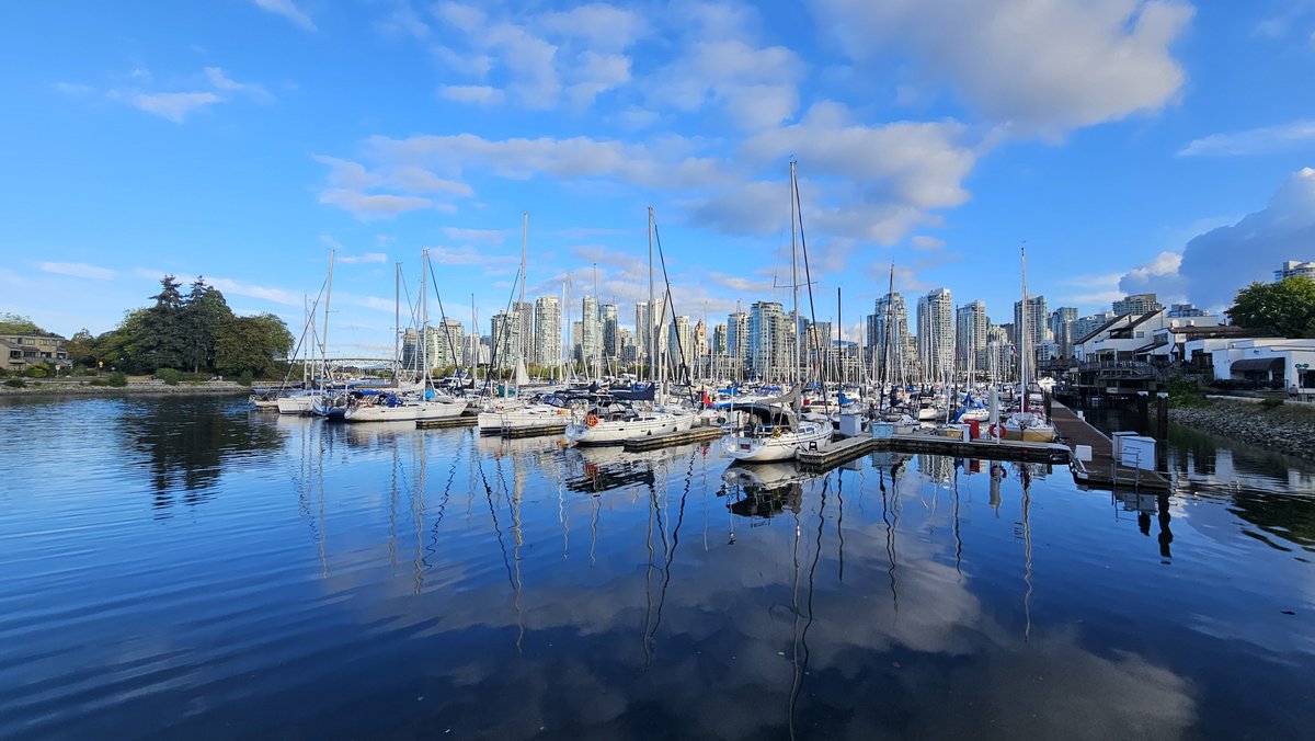 TriciaBarker49's tweet photo. My morning walk.
#pickhappy #keepwalking #photography #vancouver https://t.co/fhH2DjJYvr