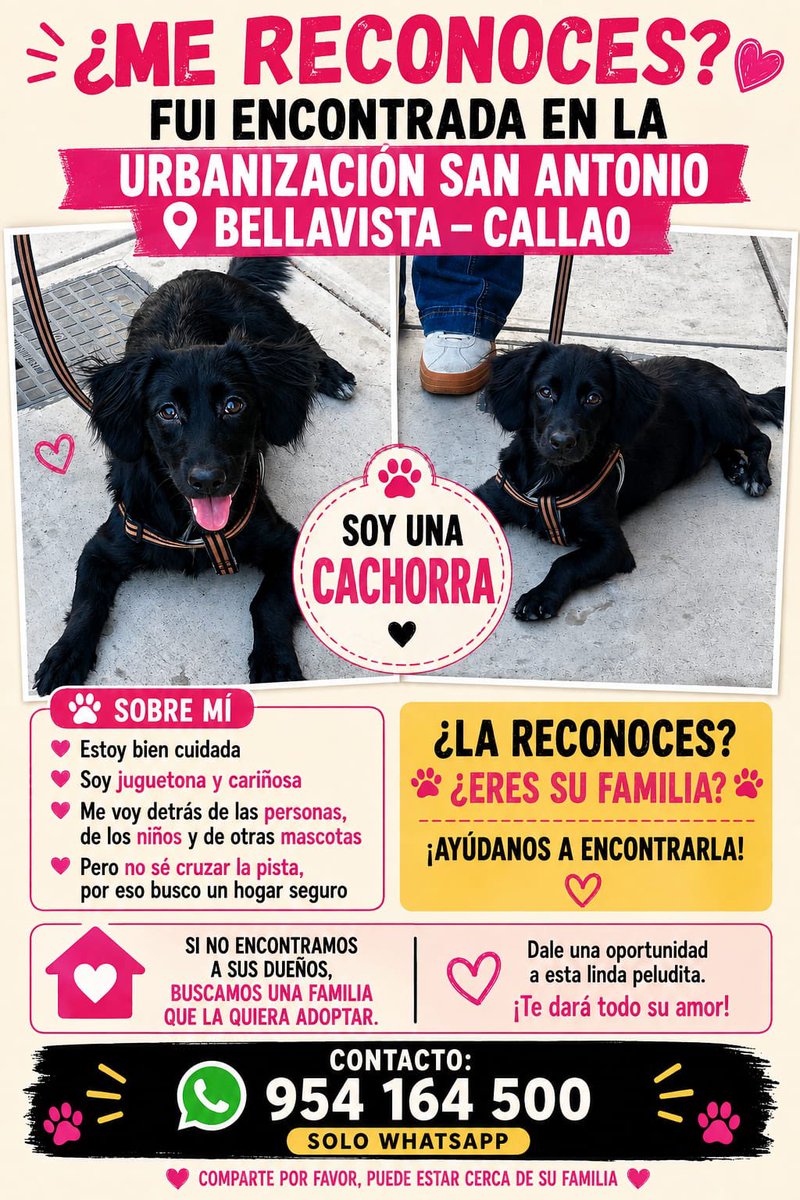 peravi's tweet photo. ENCONTRADA SE BUSVA A SU FAMILIA BELLAVISTA CALLAO https://t.co/PTz88fvrH2