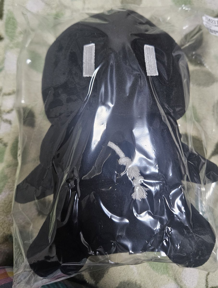 jump1081's tweet photo. ディズぬい届いたぞぉ！！！ https://t.co/oTqNfgplhy
