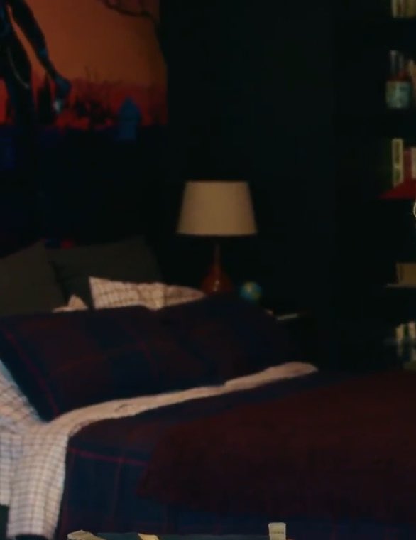 z_writez's tweet photo. blurry ass details for ches + he has a lava lamp but my picture corrupted https://t.co/mpek35A1DX