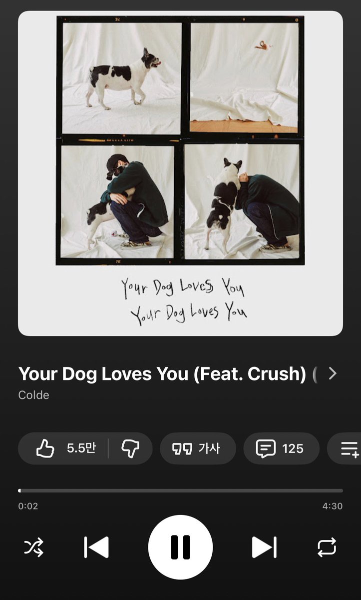 so__k_'s tweet photo. 260828
건이가 커버하고 싶은 노래
역시 넥스지의 강아지다운 선곡이심...

🎵Your Dog Loves You(Feat. Crush)- Colde

#소건 #SOGEON #NEXZ https://t.co/4jwLlQZPaJ