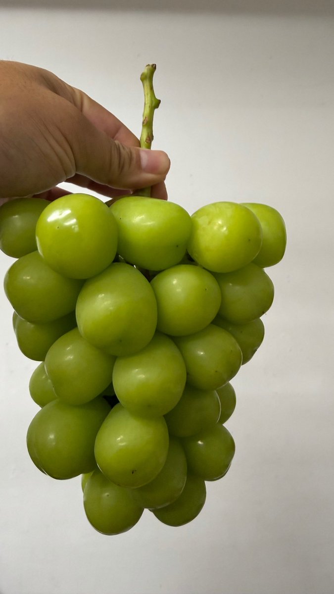 skt_games's tweet photo. 🍇 https://t.co/NMlkFZXBIa