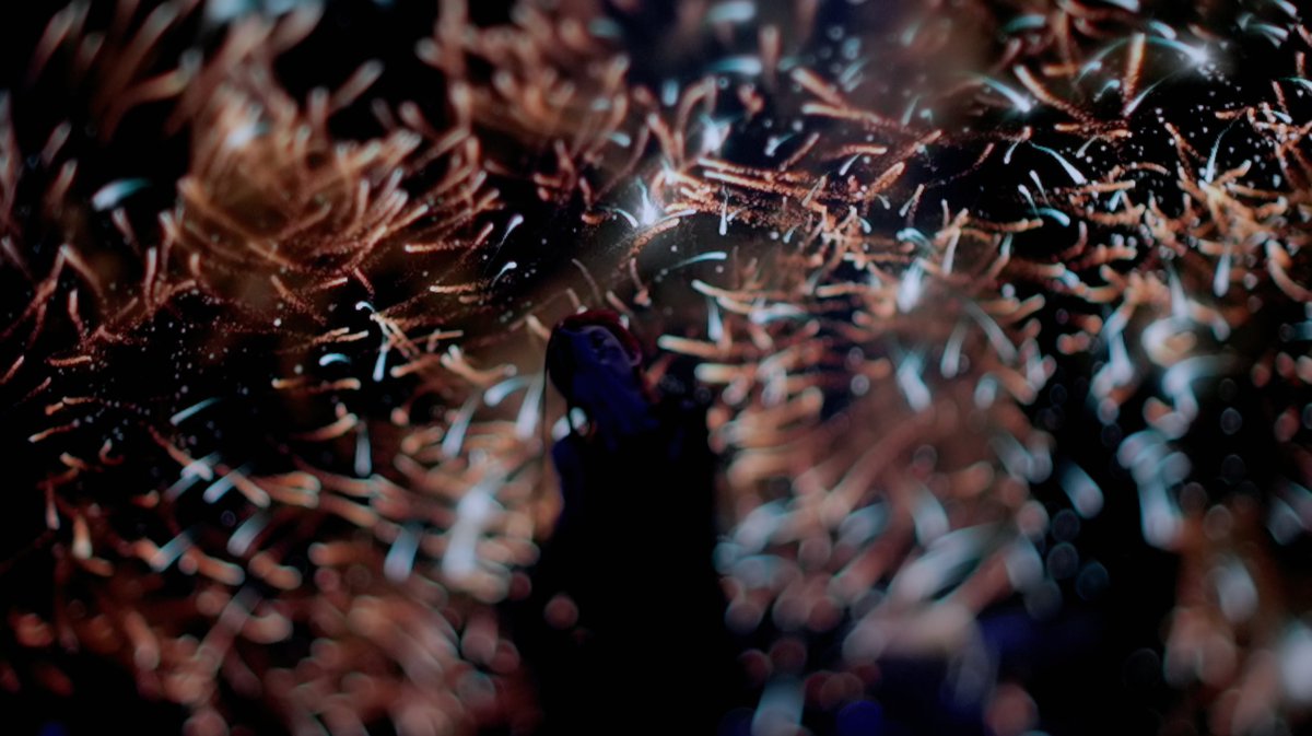 HarukamiraiInfo's tweet photo. 【AVAN ライブ映像を一部公開！】

2026.3.5 横浜アリーナ
ハルカミライ ONE MAN LIVE "AVAN" より
燦拍子 / ハッシャダイの丘 / 飛空船「ジュブナイル号」
ライブ映像を公開！

https://t.co/dpC6K4TZtO https://t.co/ezpJlxhuCA