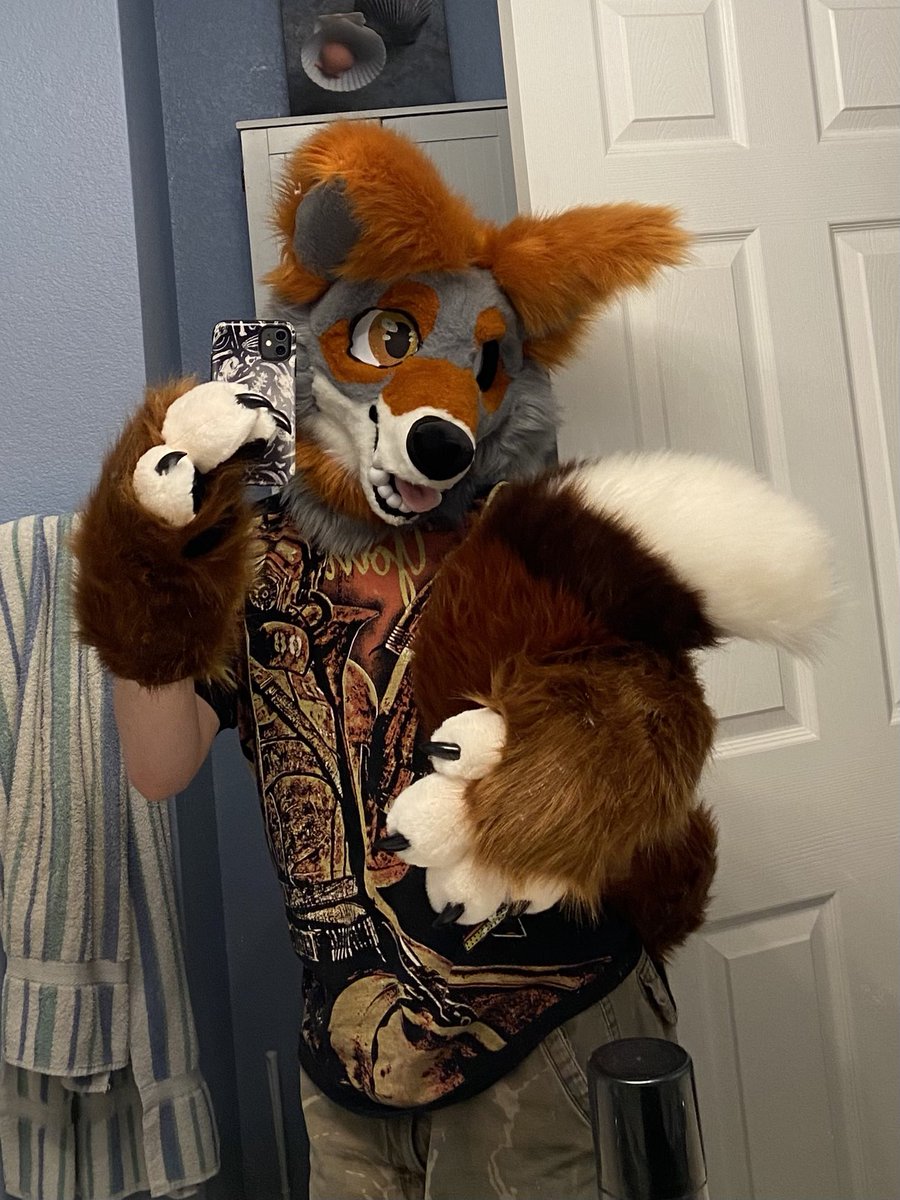 ArroyoCoyote's tweet photo. My paws are here! 🐾🧡 https://t.co/sZ7BWKP2sx