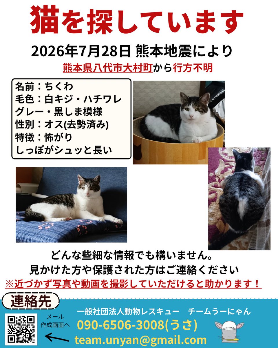____Usa's tweet photo. 【📣目撃情報をお願いします📣】

現在チームうーにゃんは、熊本地震で行方不明になった動物たちの捜索活動にあたっています。

地震の影響で、多くの動物たちが家族とはぐれています。
厳しい暑さが続く中、一刻も早く見つけてあげたいです。

「似た子を見かけた」「鳴き声を聞いた」など、どんな小さな情報でも構いません。

見かけた際は、追いかけずに、場所・時間・写真（撮れれば）を記載の連絡先までお知らせください。

team.unyan@gmail.com

090-6506-3008(代表うさ・緊急)

皆さまの情報が、大切な命をつなぐ力になります。

拡散・情報提供のご協力をよろしくお願いいたします。

#熊本地震
#ペット捜索
#行方不明
#迷子犬
#迷子猫