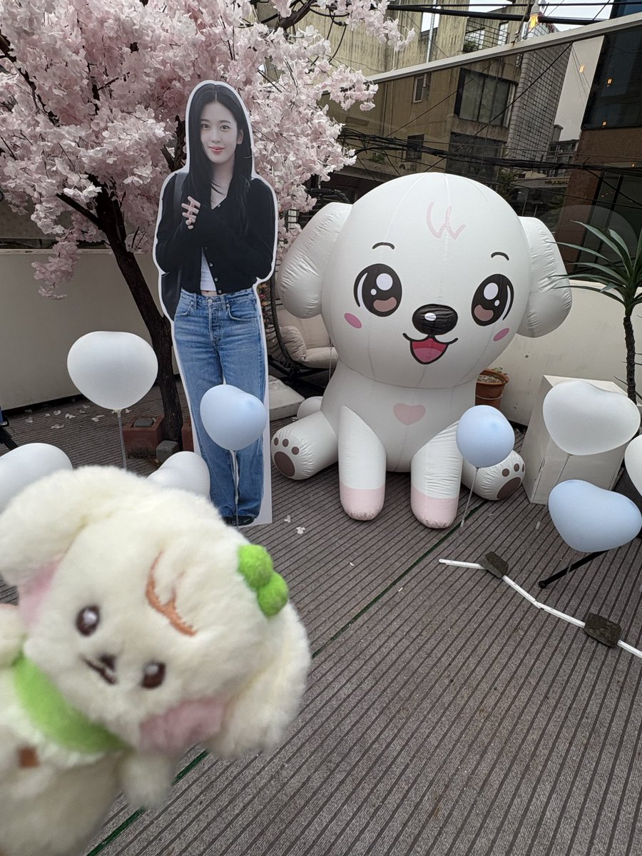 forever_yupopo's tweet photo. #우리_강아지_태어난날 #Over_the_Clouds https://t.co/gSaa7UDygo
