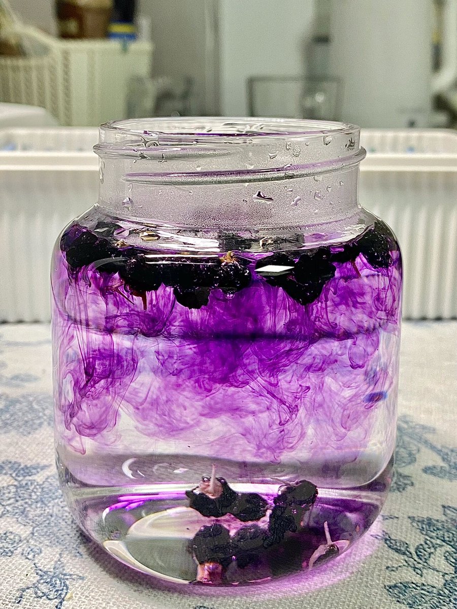 LemiereLmr's tweet photo. Just tried the fresh wild blueberries from local farms—plump, super juicy with that perfect tart-sweet kick, no added sugar needed for a snack!  #LocalFoodFind #IngredientReview， https://t.co/aPGIKIAoz6