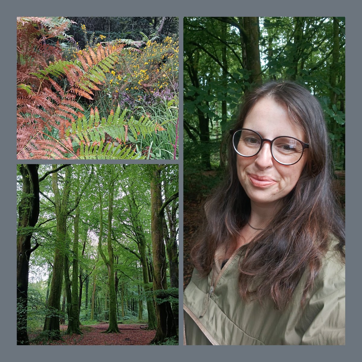 SianVidak's tweet photo. Ye olde faithful pack-a-mac, didn't let me down this morning. The woods was tranquil, I could mentally organise my thoughts as we go into a new week. 
We are now in the last week of holiday, so more structure and routine introduced again, which I'm looking forward to.
#walking https://t.co/ajRo0yFq9U