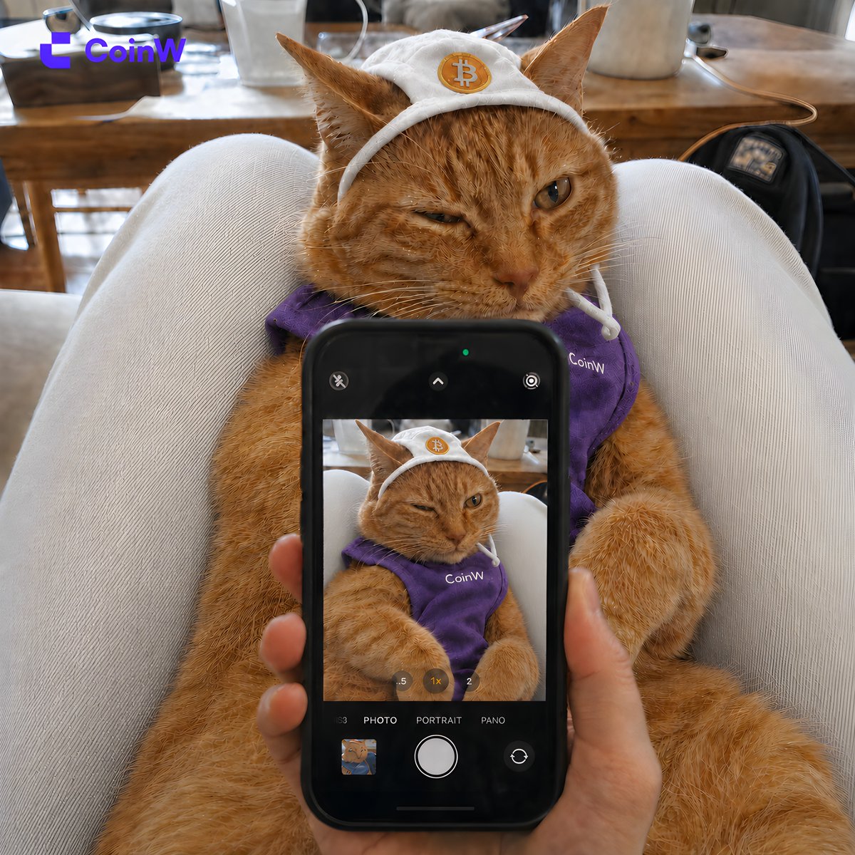 CoinWOfficial's tweet photo. POV: your portfolio finally turns green and suddenly you’re photogenic again. 😼���� https://t.co/cMhA9lEh1g