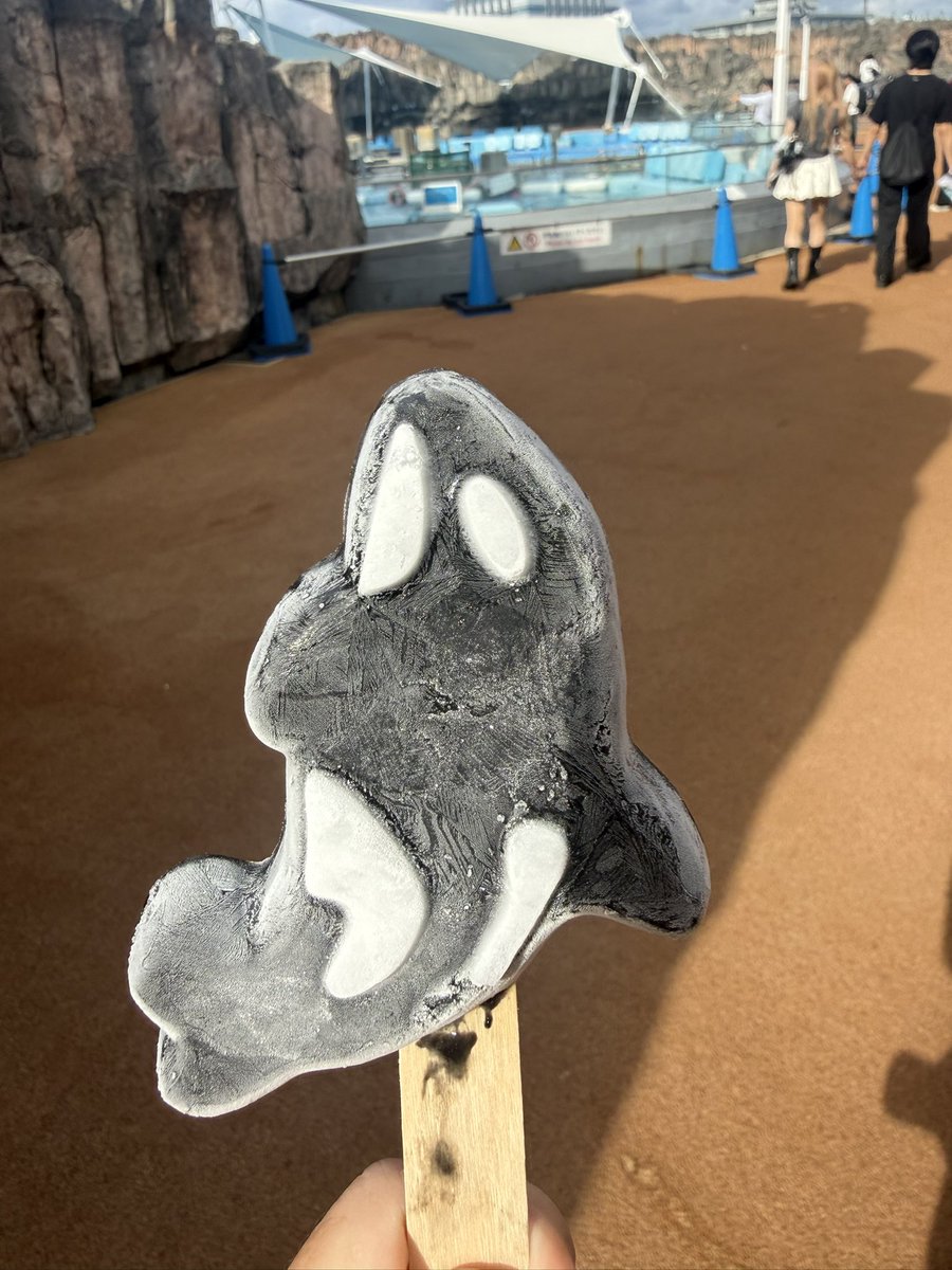 nao_orca's tweet photo. 【シャチアイス】

←名古屋港水族館　　　須磨シーワールド→

「名水」
　7百なんぼ円忘れた、黒部分はコーラ、溶けにくい

「須磨シー」
　900円、黒部分はチョコ、すぐ溶ける

須磨シーのはポピュラーな味
名水は食べたことない味

須磨シーのは早く食べよう
名水は慌てなくても溶けないよ https://t.co/UuzyjRblly