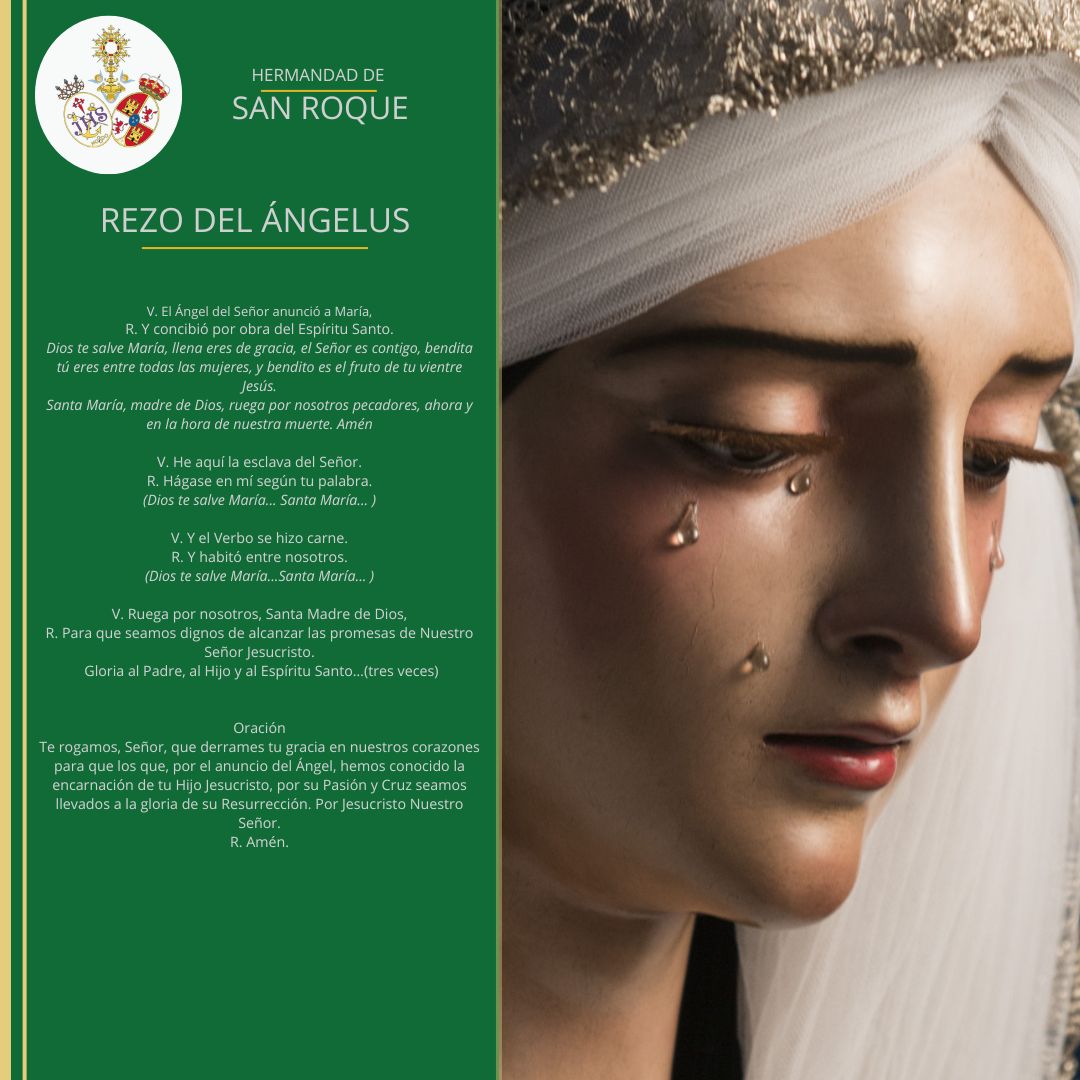 Hdad_SanRoque's tweet photo. 🟢REZO DEL ÁNGELUS |
El ángel del Señor anunció a María. Y concibió por obra y gracia del Espíritu Santo.
A las 12:00 invitamos a entonar el rezo del Ángelus y encomendar el día a la Virgen María.
#HdadSanRoque https://t.co/4jHdPDK0WW