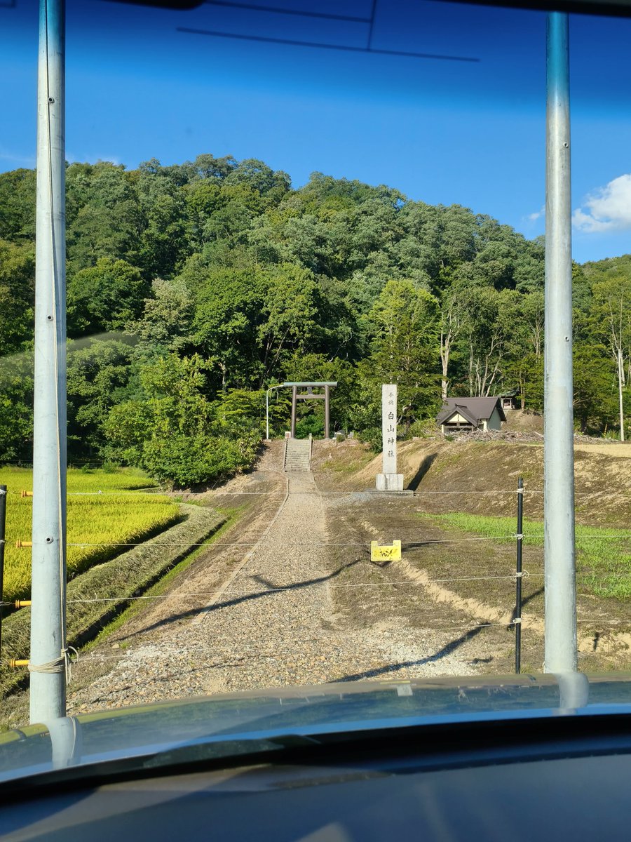 nya_extra's tweet photo. 543.白山(はくさん)神社＠奈井江町東奈井江
ここは基本的に電気柵で通せんぼされているので管理しているお宅にひと声掛けて解除してもらう必要があるとかなんとか。今はどうか知らん。3枚めは5年前だが、御覧の通り昔はモリモリに覆われていたがガッツリなくなっておった。 https://t.co/yGpboxzIAw