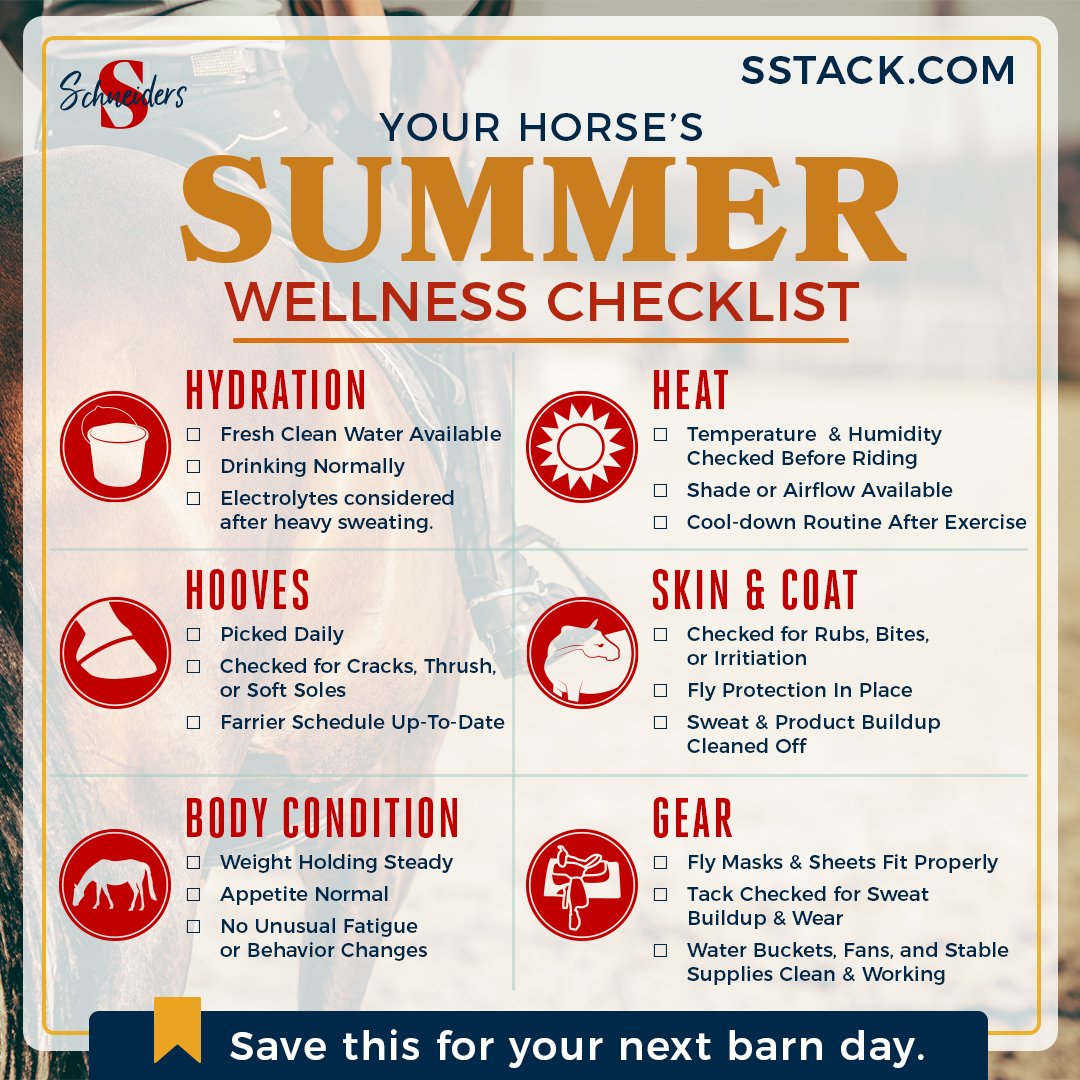 schneiders1948's tweet photo. Summer care is more than fly spray and cold hosing. 

A few quick checks can help you stay ahead of heat, hydration, hoof, skin, and equipment issues before they become bigger problems.

Save this checklist and use it as a quick summer wellness check at the barn.

What’s one thing you always keep an eye on during the hottest months?