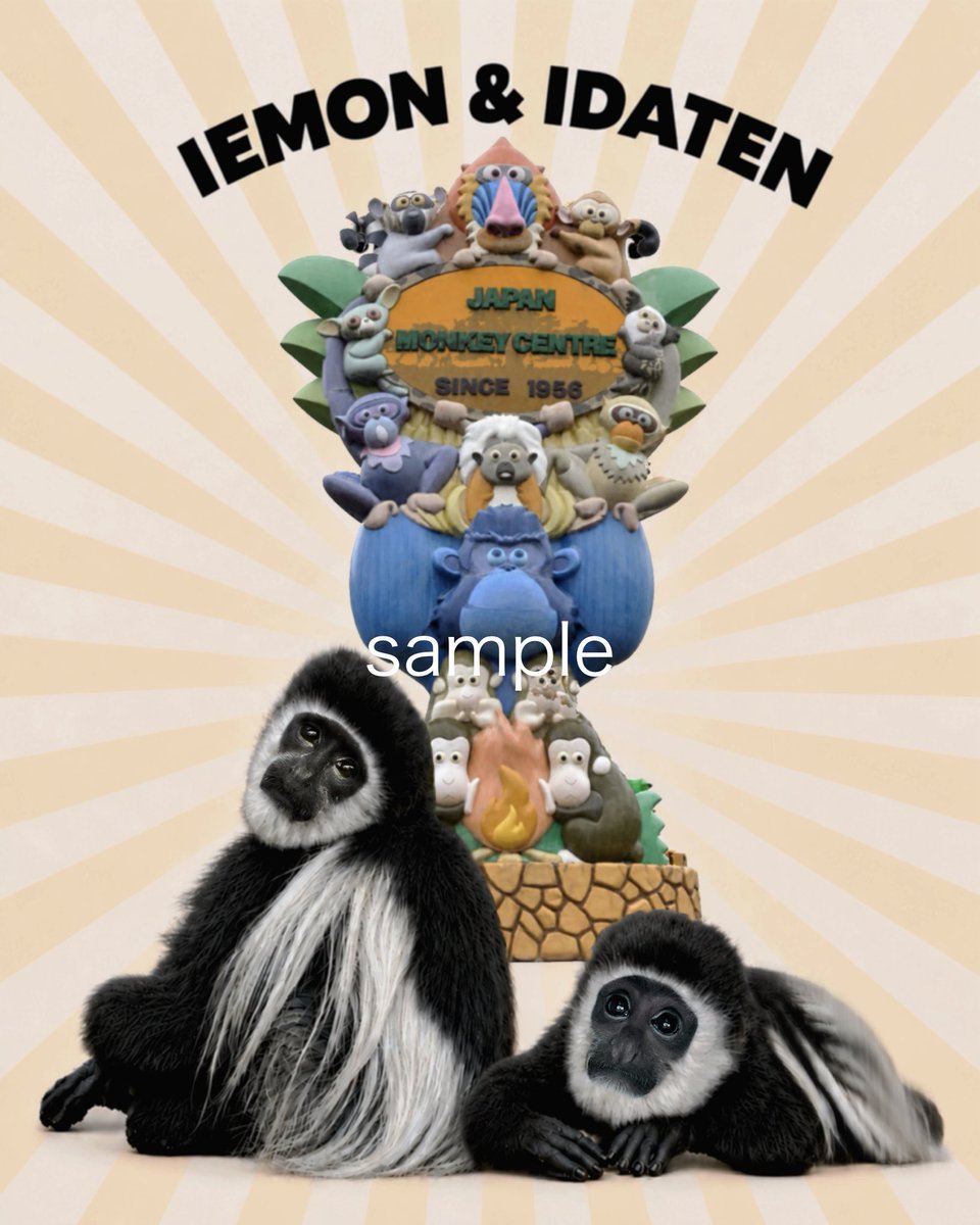 lemurlenga tweet picture