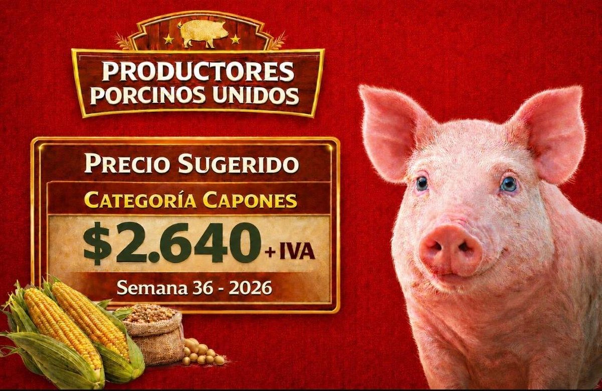 caPEMppor's tweet photo. PRECIO SUGERIDO 
Semana 36

Capón en pie
$2.640 + IVA https://t.co/isDPHz5SNd