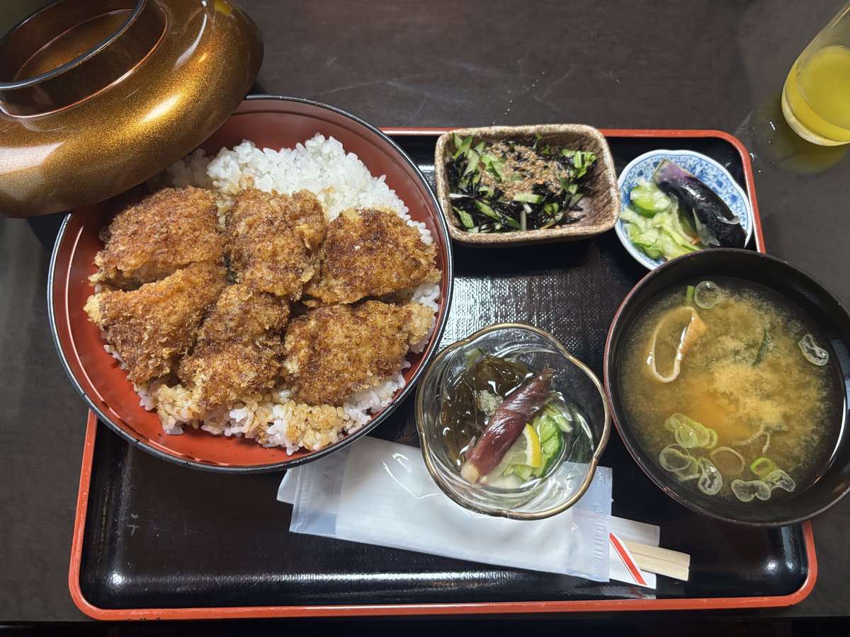 __overkiller's tweet photo. 鰻重のタレがかかったヒレカツ
帰ります🚄 https://t.co/jvKFZ79ebt