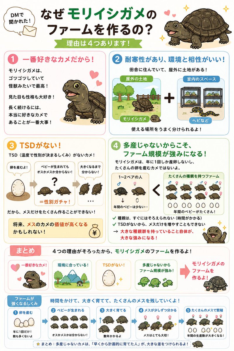 tanacc's tweet photo. 【なぜモリイシガメのファームを作るの？？🐢】

DMで、

「なぜモリイシガメなの？」
「なぜモリイシガメのファームを作るの？」

と聞かれたので回答。
理由は大きく4つあります。

① モリイシガメが、カメの中で一番好きだから！

これが一番大きい😂

モリイシガメ（Glyptemys insculpta）の、あのゴツゴツした怪獣みたいな見た目が最高に好き。

長く繁殖を続けるなら、結局「自分が本当に好きな種類か」はすごく大事だと思っています。

② 耐寒性があり、自分の飼育環境と相性がいい

私は田舎に住んでいて、屋外で使える土地があります。

逆に室内の飼育スペースは、できるだけヘビなど屋内管理が必要な生き物に使いたい。

なので、

屋外の土地 → モリイシガメ🐢
室内のスペース → ヘビ🐍

という棲み分けができる。

将来的に飼育規模を大きくしていくことを考えると、これはかなり大きなメリットです。

③ TSDがない

モリイシガメは、孵卵温度で性別が決まるTSDではありません。

つまり、

「この温度で孵化させればメスを多く作れる」

ということができない。

ベビーの段階では、オスかメスか分からない、いわば「性別ガチャ」😂

そのため、将来的に大規模繁殖が行われるようになったとしても、必要な数だけメスを狙って作ることは難しい。

なので私は、

成熟したメスや繁殖可能なメスの価値が高くなる市場構造もあり得る

と考えています。

④ 多産じゃないからこそ、ファーム規模の種親群が武器になる

モリイシガメは、基本的に年1回の産卵で、しかも一気に何十匹、何百匹と増えるタイプではありません。

だからこそ、

「1〜2ペア持っている人」

と、

「多数の成熟した種親を持っているファーム」

では、年間の生産能力に大きな差が出ます。

しかも種親は、お金を出せば明日から大量に用意できるわけではない。

繁殖可能なサイズ・年齢まで育てるには時間がかかる。

さらにTSDがないので、メスだけを狙って増やすこともできない。

つまり、

長い時間をかけて、成熟したメスを含む大規模な種親群を作ること自体が参入障壁になる

と考えています。

私はここに、モリイシガメ専門ファームを作る大きな意味があると思っています。

まとめると、

❤️ 一番好きなカメ
🌳 自分の土地・環境を活かせる
🥚 TSDがなく性別をコントロールできない
🐢 多産ではないから、種親群そのものが競争力になる

この4つが全部重なった。

だから私は、

「モリイシガメのファームを作ろう」

と考えてる！
