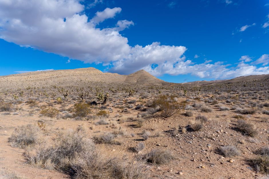 mitchelleric731's tweet photo. السعر الرد هل يمكن إرسال العنوان أريد الحجز الخدمة كم بانتظار هل متوفرة candelaria drought🇮🇹 https://t.co/EwChmwSdj3