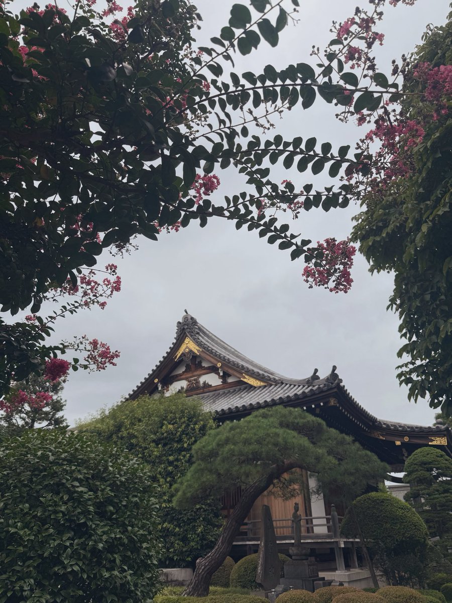 wanimaichi's tweet photo. 今日こそ‼︎と意気込んだのに
1時間に一本のバスを逃し
お昼の出発になり➰お墓参り💐
（やっと帰り道🚌）
（帰ったら寝ちゃうな…）

登山と一緒で知らないお兄さんが
「こんにちは」ってご挨拶してくれて
おぉ✨とうれしかった✩︎⡱

サルスベリがたくさん咲いてて
きれいだった(❁´ω`❁) https://t.co/z65MfDvDjy