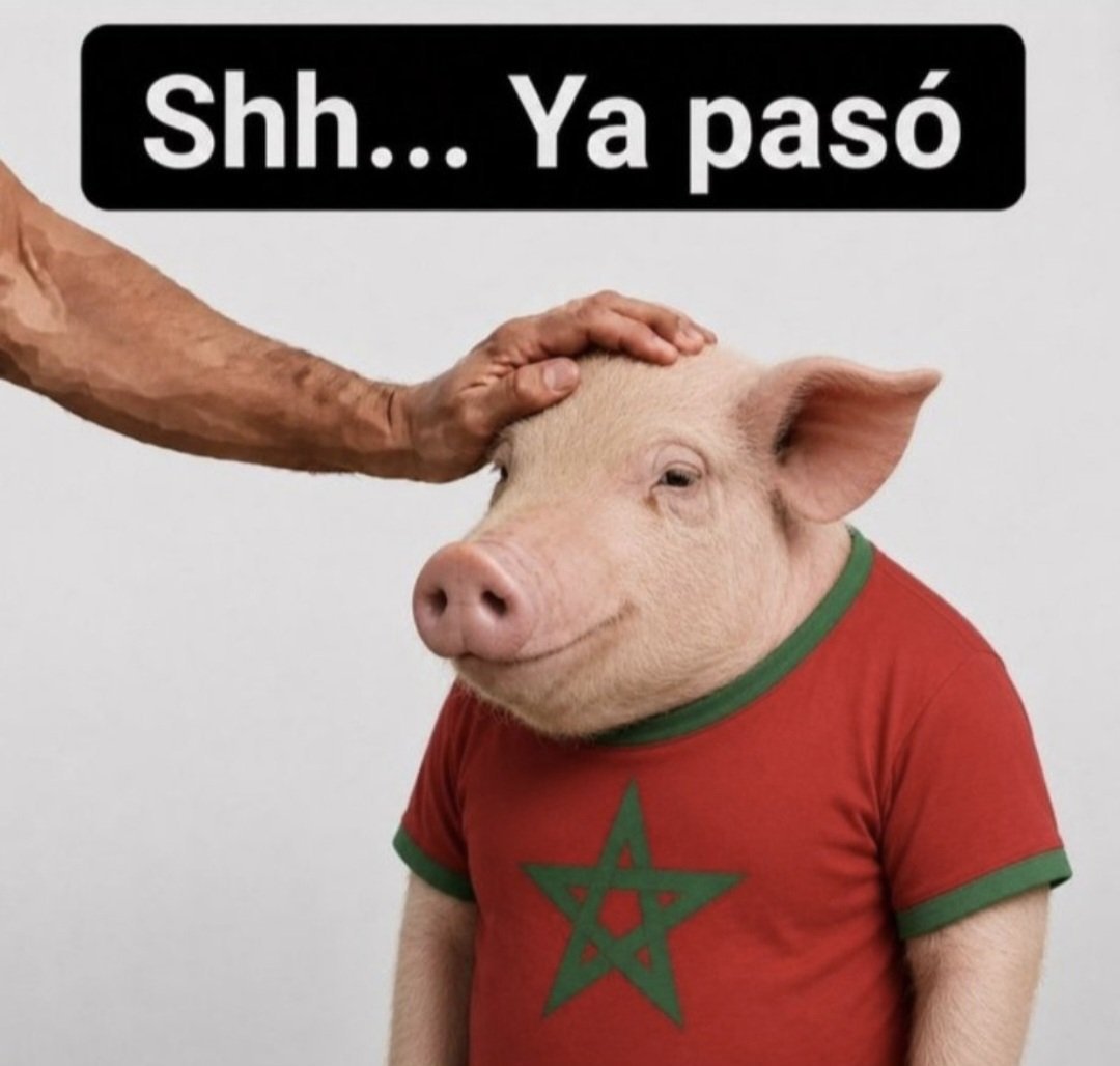 shyouba's tweet photo. @alaadinhoo @AJArabic امر لايعنيكم ك🐒و🐖 ! 🇲🇦🤮 https://t.co/Fz5TdCWyOp