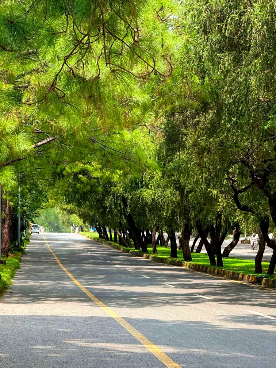 PakistanJannatt's tweet photo. درختوں سے ڈھکا ہوا اسلام آباد کا خوبصورت ترین روڈ 🌳
F6 Hill View Road https://t.co/PmsnS9Li7s