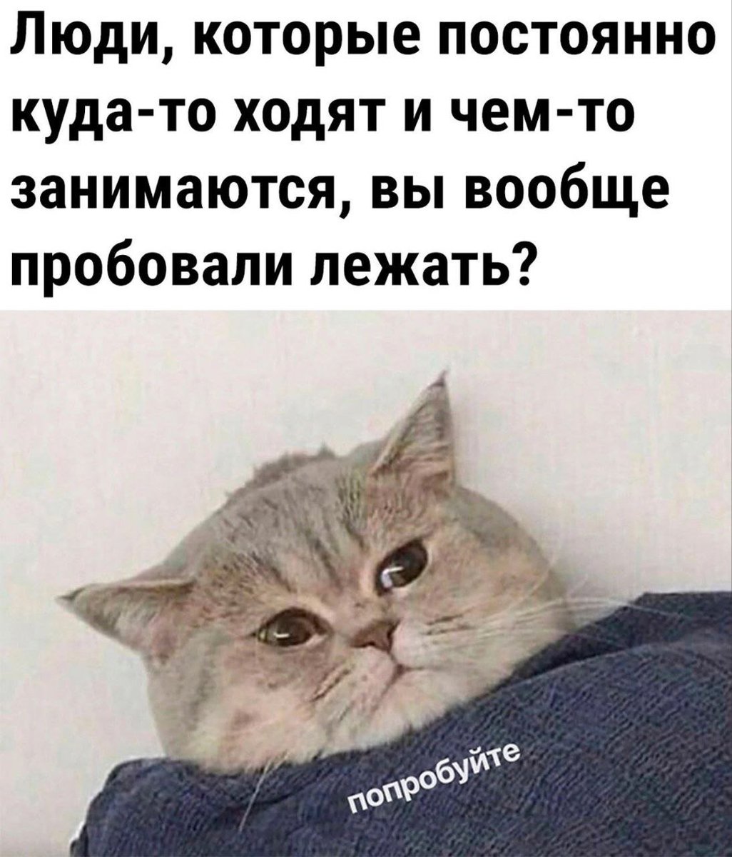 nagorizonte's tweet photo. Утро чят https://t.co/2WkOJsThQo