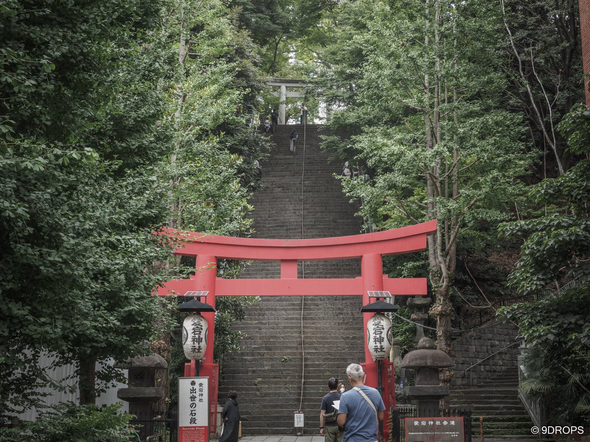 9drops_com's tweet photo. 東京スナップ。
虎ノ門。

8月は家の事情で忙殺されていてほとんど何も出来なかったので、賞味期限の切れた写真がPCに沢山残っている。

そんなわけで、息子の就活祈願で東京に行った時のシリーズをとりあえずPOSTしてみたい。
愛宕神社にお詣りしてからの虎ノ門ヒルズって感じです。

#東京 https://t.co/Bb0pMQYqWF