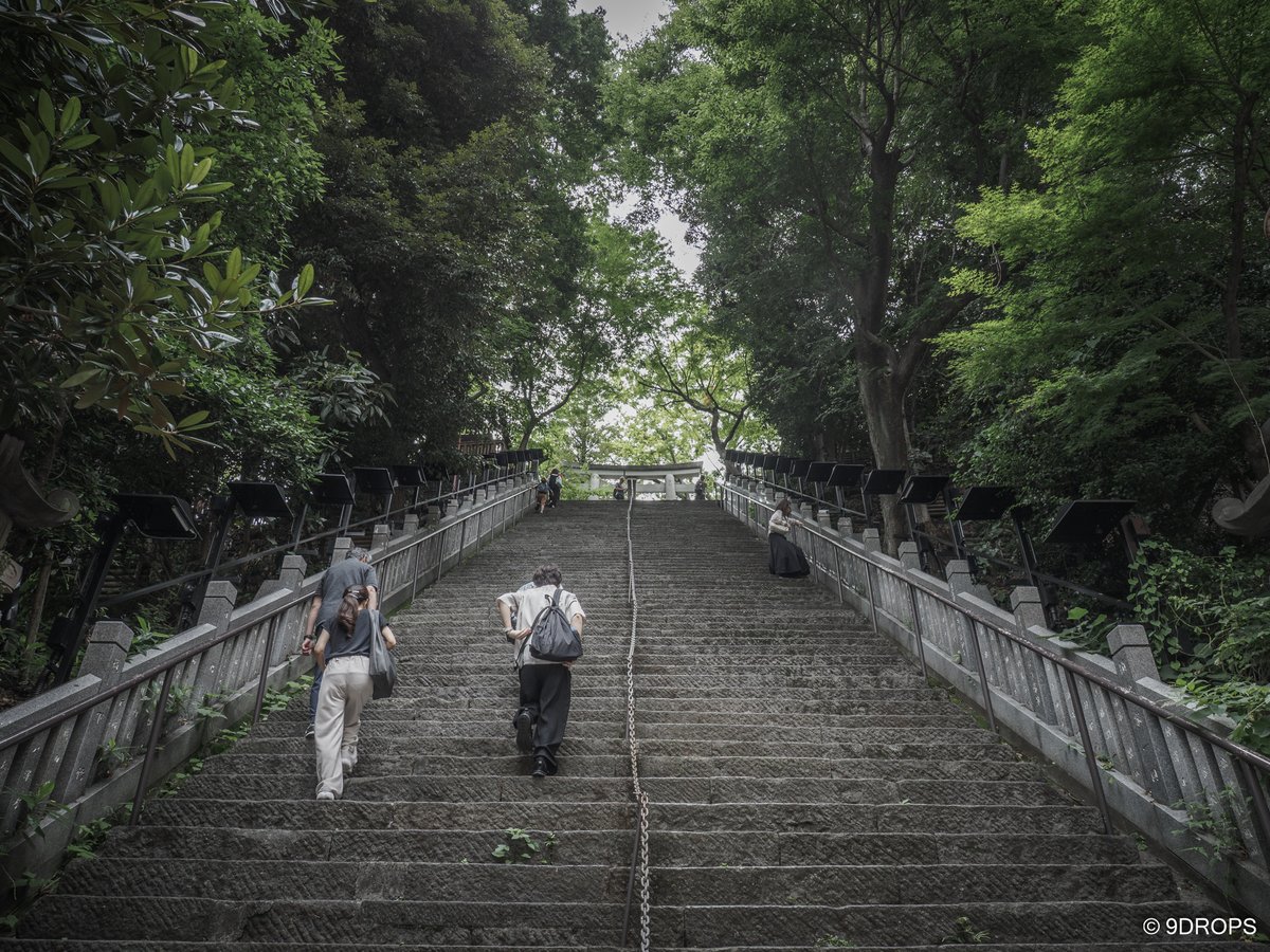 9drops_com's tweet photo. 東京スナップ。
虎ノ門。

8月は家の事情で忙殺されていてほとんど何も出来なかったので、賞味期限の切れた写真がPCに沢山残っている。

そんなわけで、息子の就活祈願で東京に行った時のシリーズをとりあえずPOSTしてみたい。
愛宕神社にお詣りしてからの虎ノ門ヒルズって感じです。

#東京 https://t.co/Bb0pMQYqWF