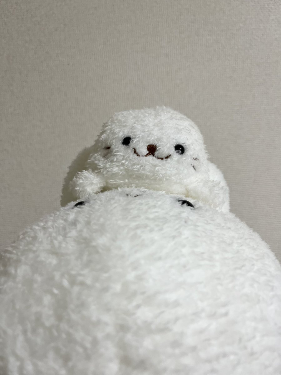 meltymofu's tweet photo. むぎゅう https://t.co/rdYpn42MCn