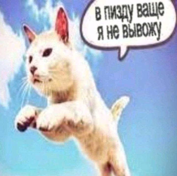 luellix's tweet photo. что видит моя мать каждый год перед учёбой: https://t.co/JY329HwVzd