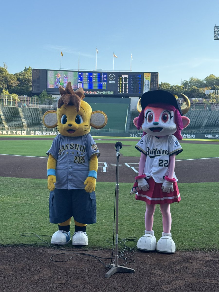 Tigers_farm's tweet photo. 今日はほっともっとフィールド神戸にてファーム・リーグ公式戦の対オリックス戦！🐮
コラッキーも駆け付けてバファローベルと共に球場を盛り上げています！🐯

#阪神タイガース
#オリックスバファローズ
#ほっともっとフィールド神戸
#コラッキー
#バファローベル https://t.co/KRTbkImq1h