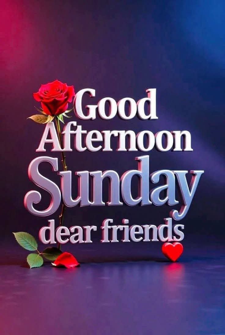 Laraib_Fatiima's tweet photo. Hello 👋 My Dear Friends Good 😊 Afternoon Sunday  Dear Friends 😘😗
#goodafternoon #sunday #dearfriends #dailypost https://t.co/5vnoixoVKY