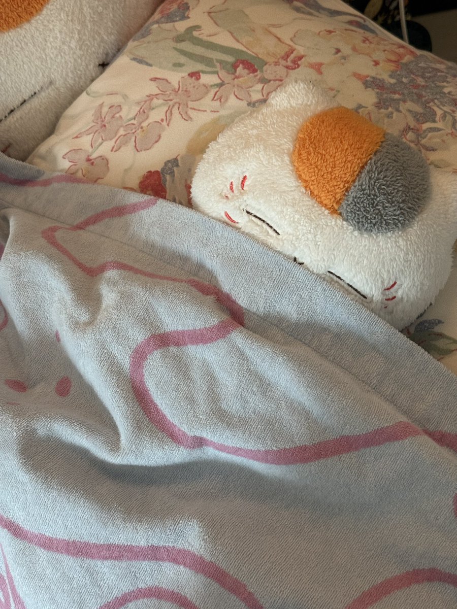 techitechi_neko's tweet photo. 翌日朝8時のご様子☀️ https://t.co/mTjwy4OVFG