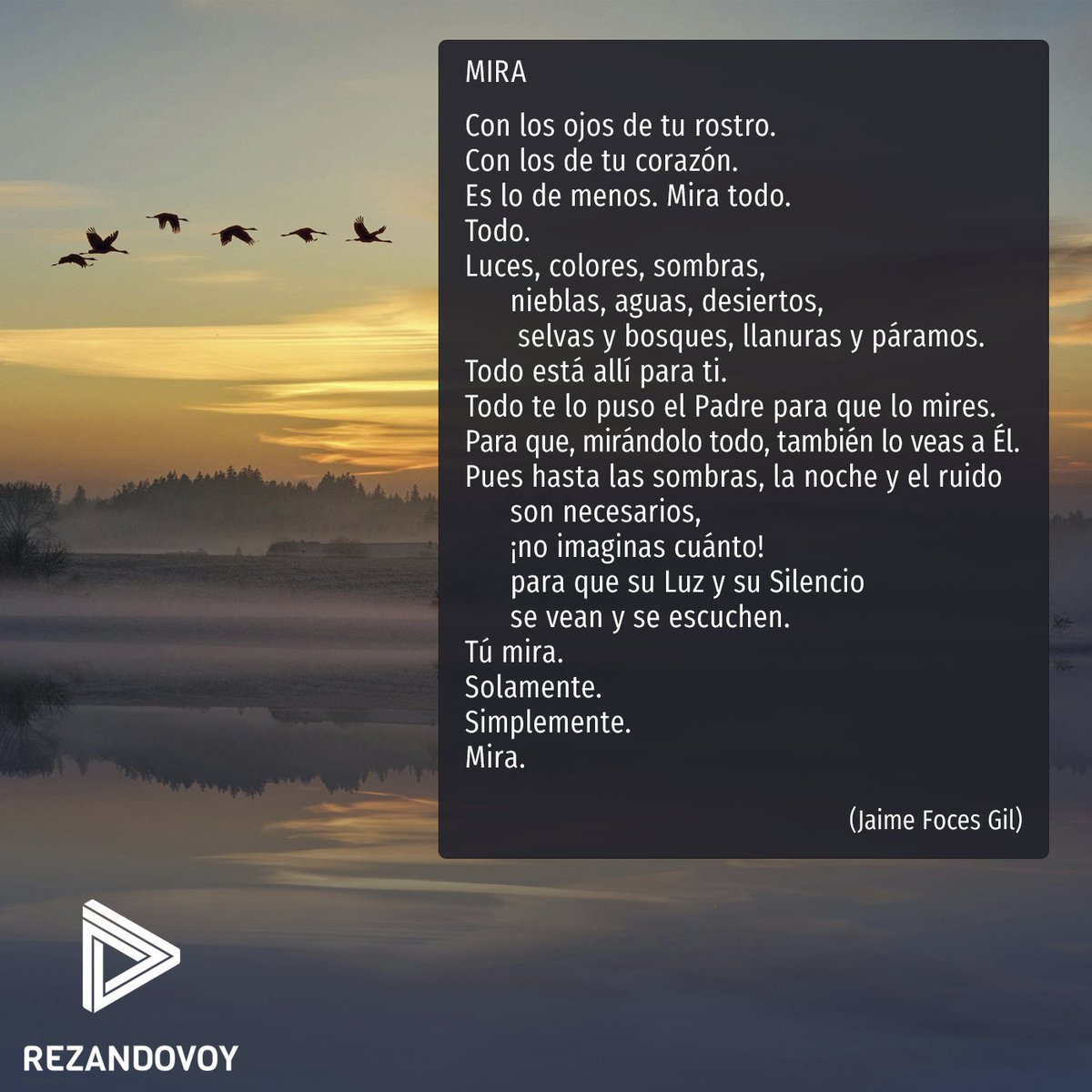 rezandovoy's tweet photo. Simplemente mira...

Un evocador poema de Jaime Foces que suena en la oración de hoy: 
https://t.co/bKjGQxgJo5 https://t.co/d3gPFJ6whm
