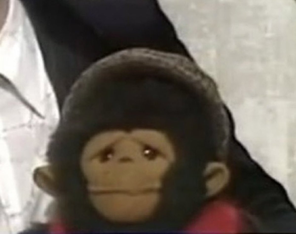 300wNeilW's tweet photo. ๐ญ๐๐ฌWtf #monkey ๐ https://t.co/FazbCtGAl4