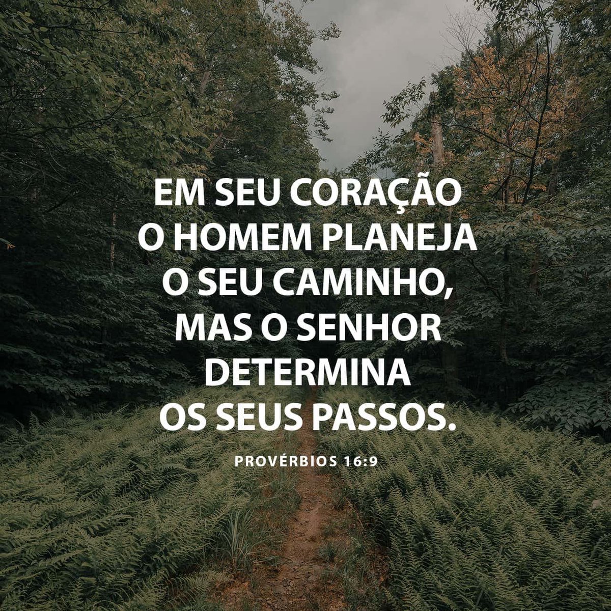 RanieriSouzza's tweet photo. Bom dia ☀️ https://t.co/P4JFDyM9nH