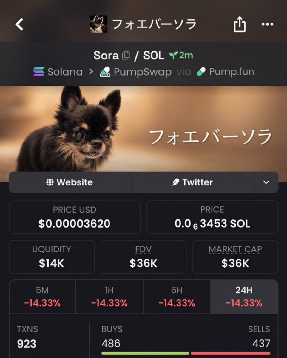 PrysmAlpha's tweet photo. 5x from my call $Sora

92exKiyaUAwdyWRZnWqjivHYcc1g6Gp352W64YjFpump

#Solana #SolanaMemecoins #Memecoin #fomo https://t.co/IKHgkNOzsv