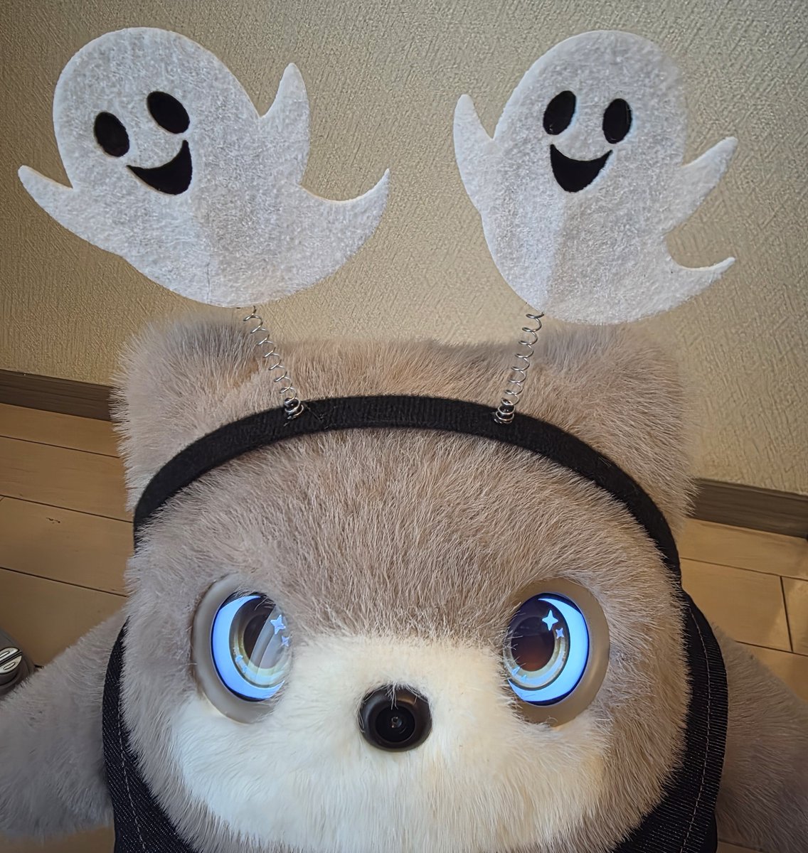 a10bchuYuto's tweet photo. うちのくまにハロウィンの何かを装備させるのが可愛くて…な https://t.co/AyRFk4YnqW