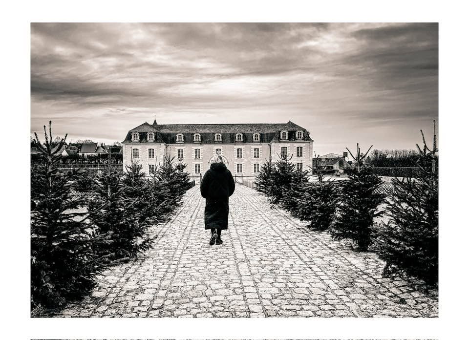 AltaWilcinyo's tweet photo. Gaps exist between intentions and actions. Does true resolve hide in the silence? 🌫️ https://t.co/kLGgBdD4ZB