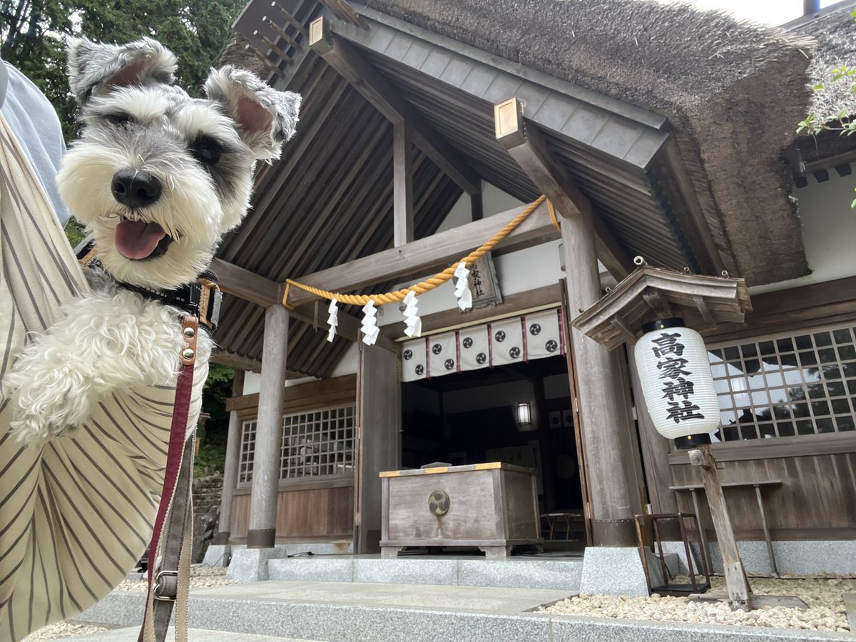 watarumaeguchi's tweet photo. 今日は料理の神様をお祀りする高家神社へありがたく参拝させていただきました。 https://t.co/83AvvUggmf