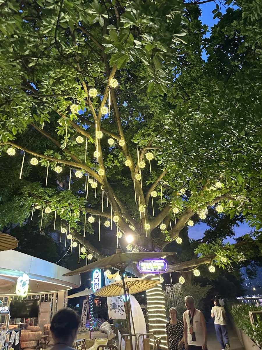 emmabung's tweet photo. More Chengdu photos! 🏮 🐻 https://t.co/wKk5sM0JPd